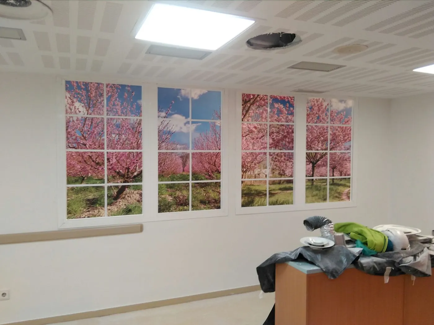 Trabajo de Alucisa para particulares — vista general